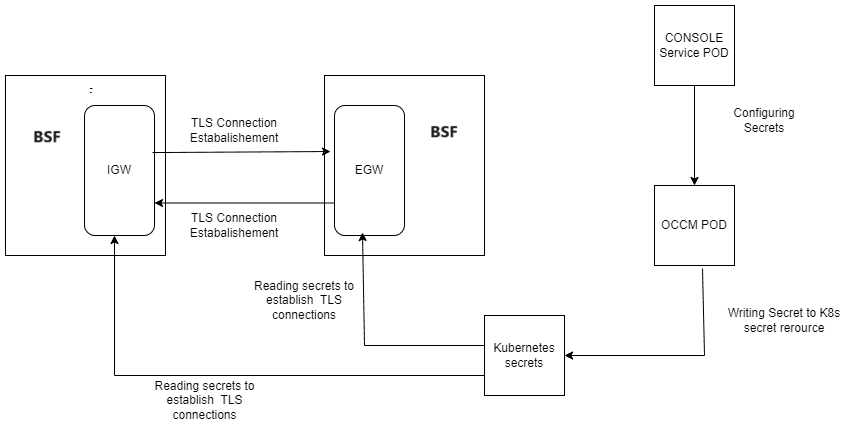 BSF Integration with OCCM