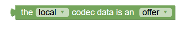 local codec data is an offer local codec data is an offer