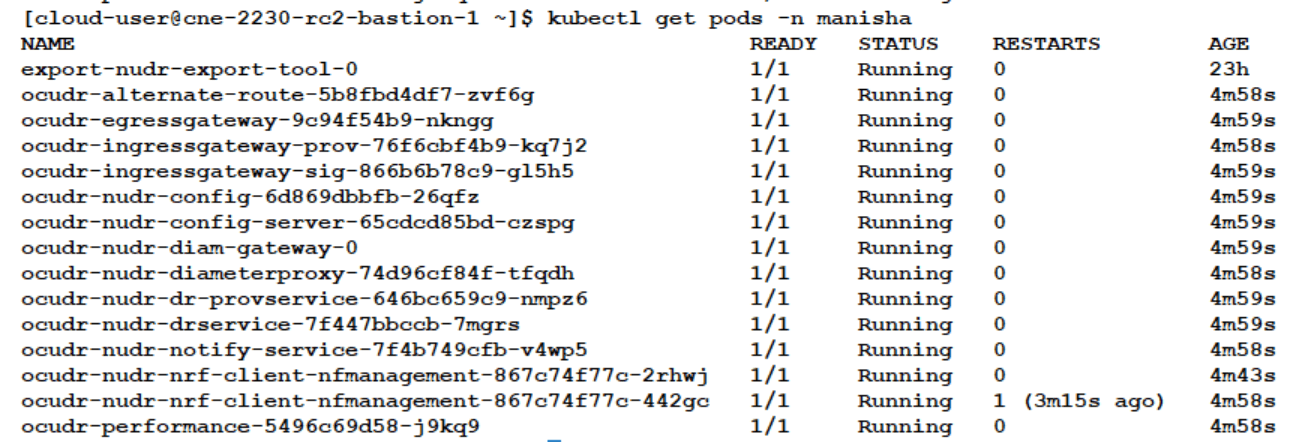 Sample Output UDR Pods Status