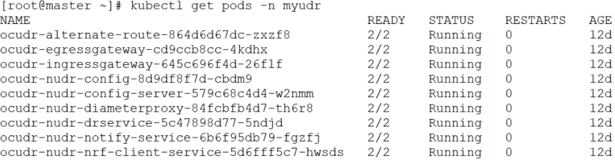 Sample Output: UDR Pods Status