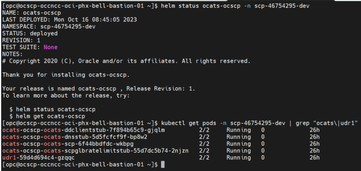 Checking ATS Helm Release and ATS related Pod Status