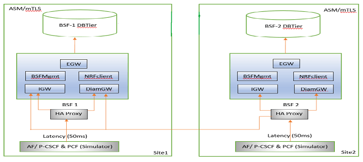 BSF Environment Architecture