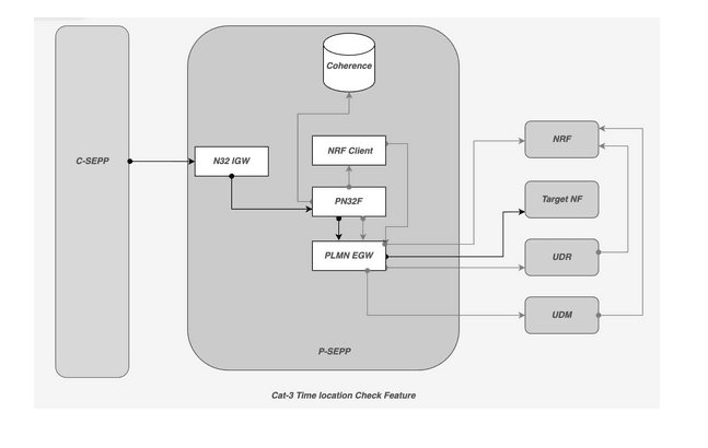 Cat-3 Time Check for Roaming Subscribers feature