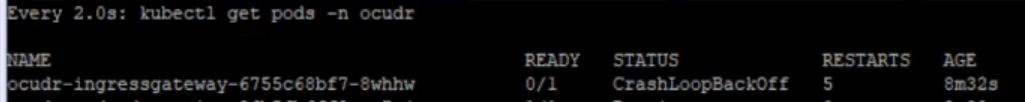 Ingress Gateway Crashed