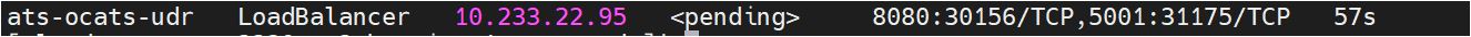 UDR Nodeport