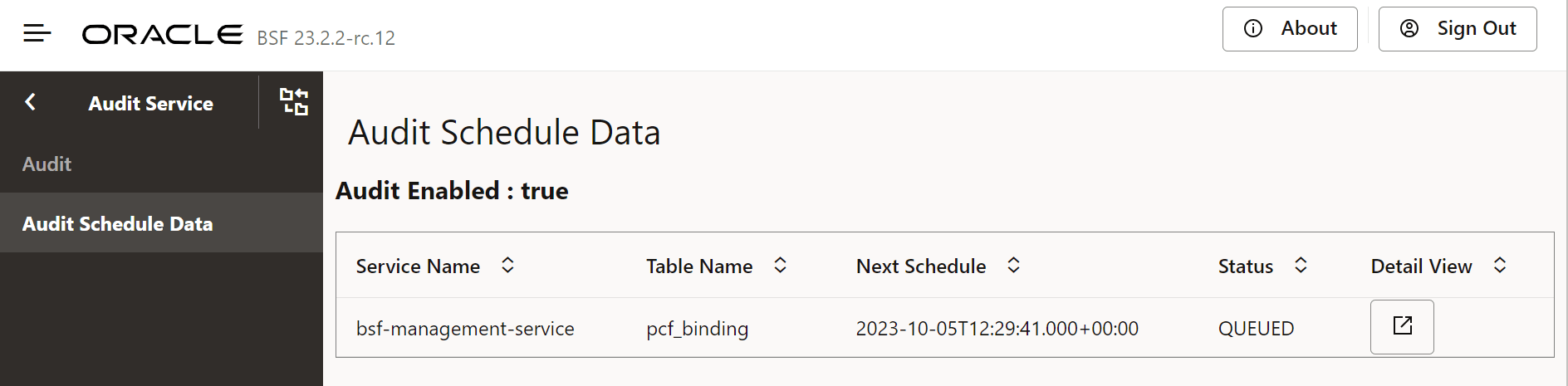 Audit Scheduled Service List Data Audit Scheduled Service List Data