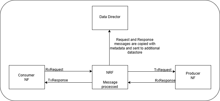 Sending Metadata from NRF to Data Director