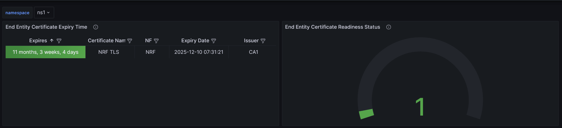 End Entity (NF) Sample Grafana Dasboard End Entity (NF) Sample Grafana Dasboard