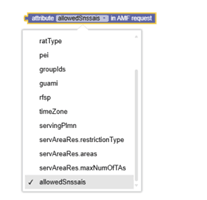 Attribute in AMF Request