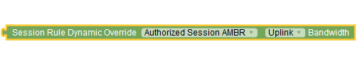 session rule dynamic override