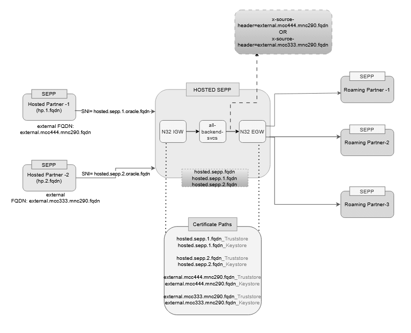 Hosted SEPP Traffic Representation