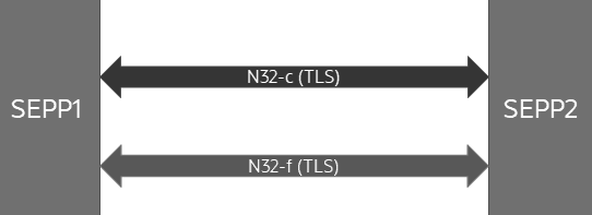 Security Edge Protection Proxy Interfaces