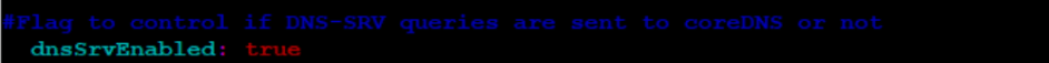 DNS Srv Configuration