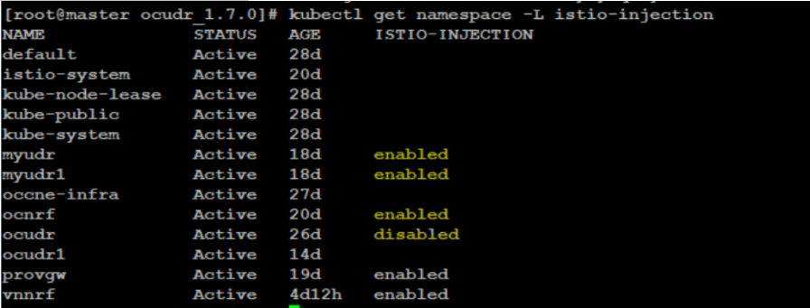 Verifying Istio-Proxy