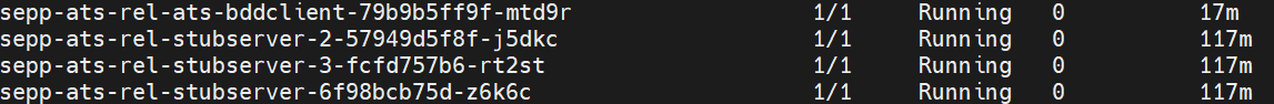 List of four server instances with their status, all running with zero restarts.