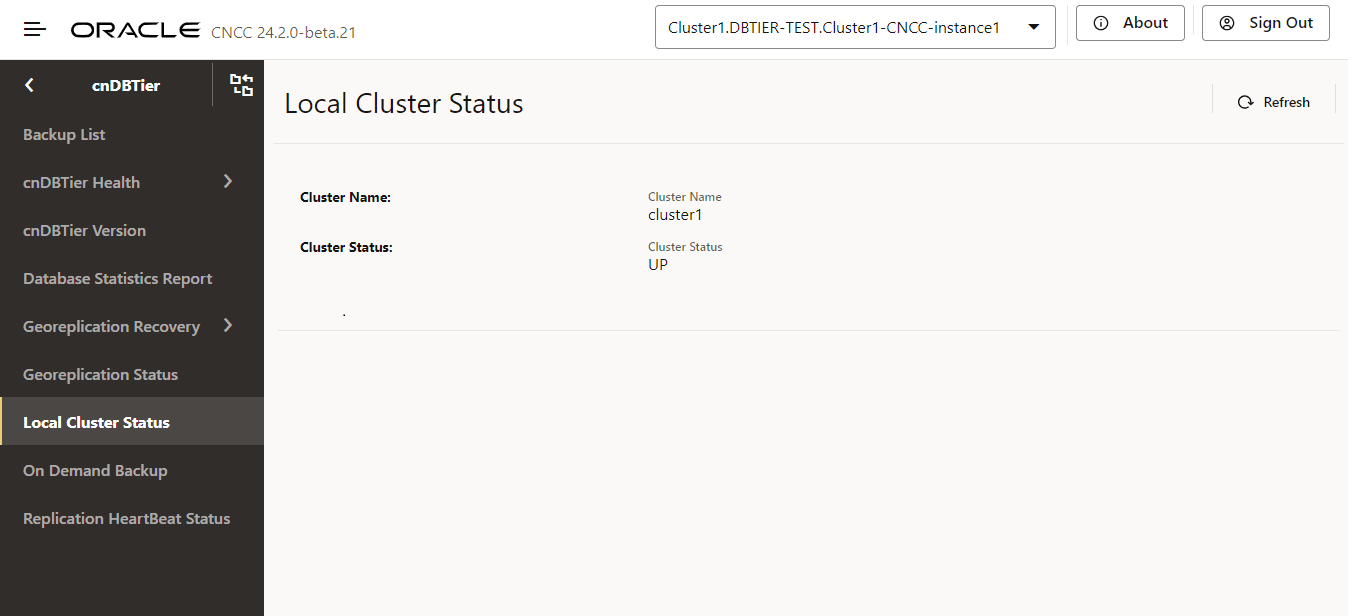 Verify Cluster Status