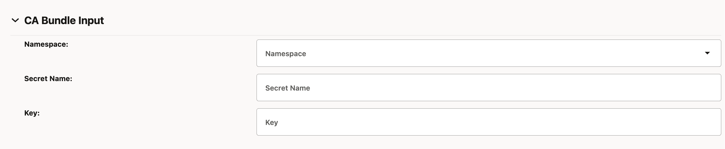 CA bundle input CA bundle input