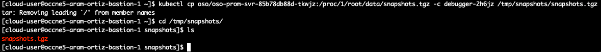 Exporting tgz artifact from Debug container