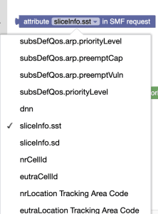 Attribute in SMF Request