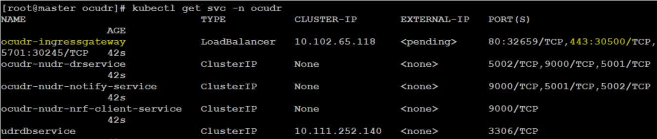 HTTPS Port Exposed