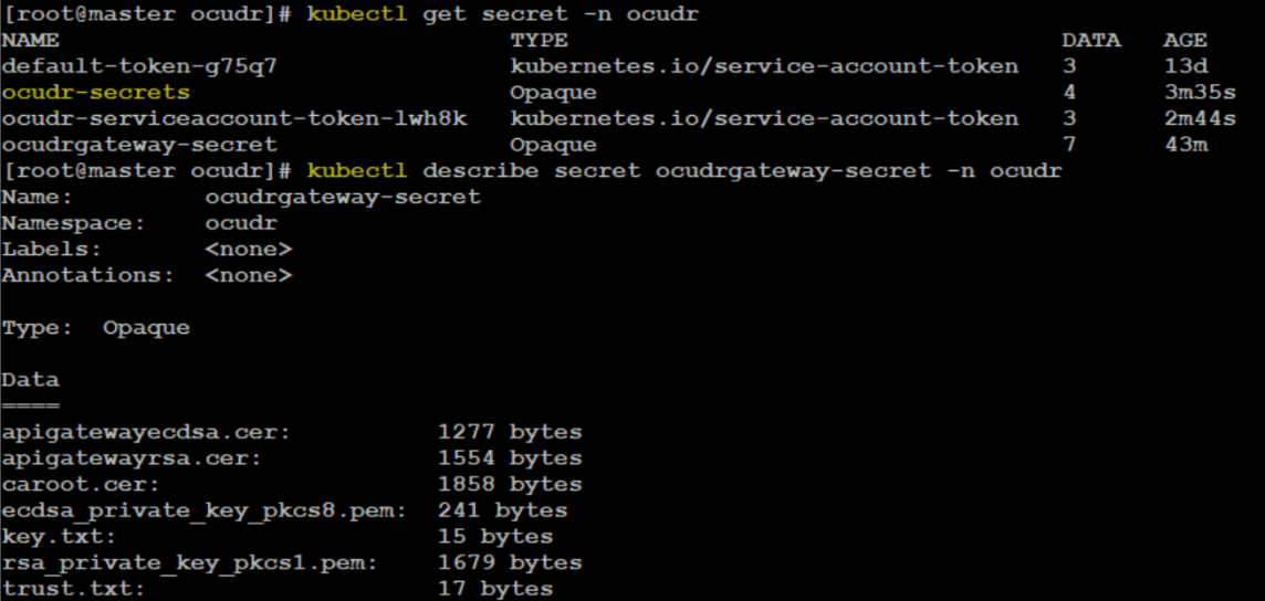 Commands to Check Secrets