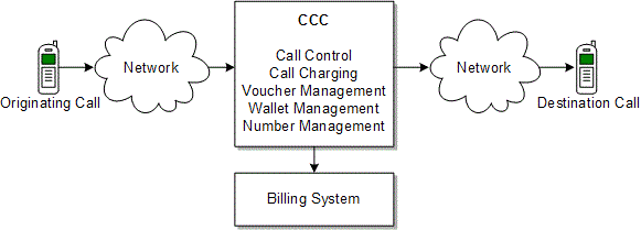 Description of Figure 1-1 follows