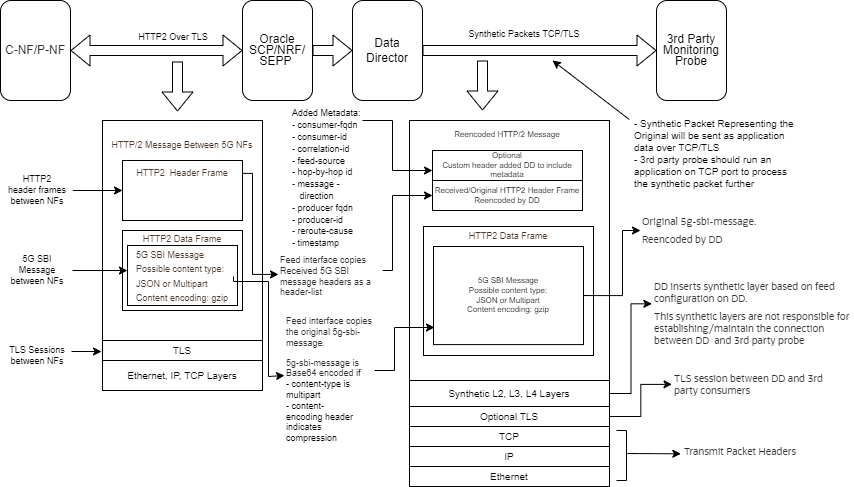 Synthetic Packet Message Format