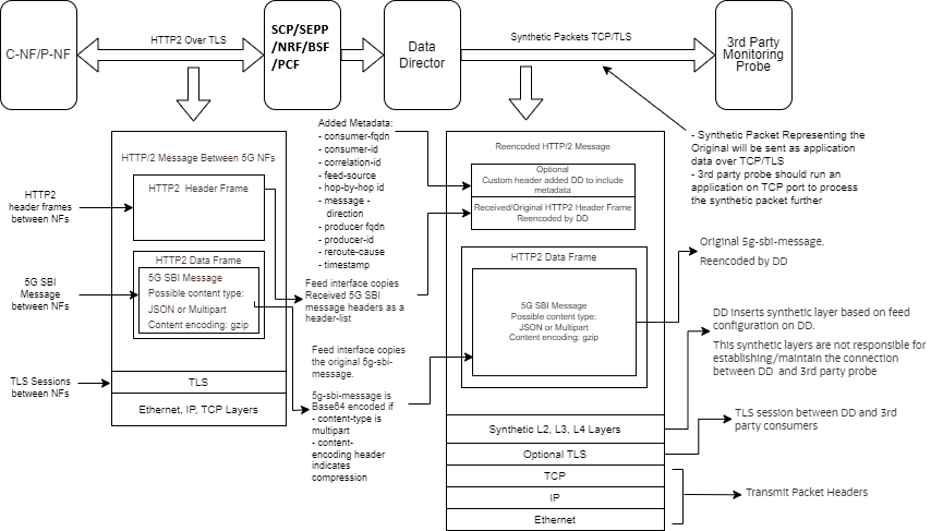 Synthetic Packet Message Format Synthetic Packet Message Format