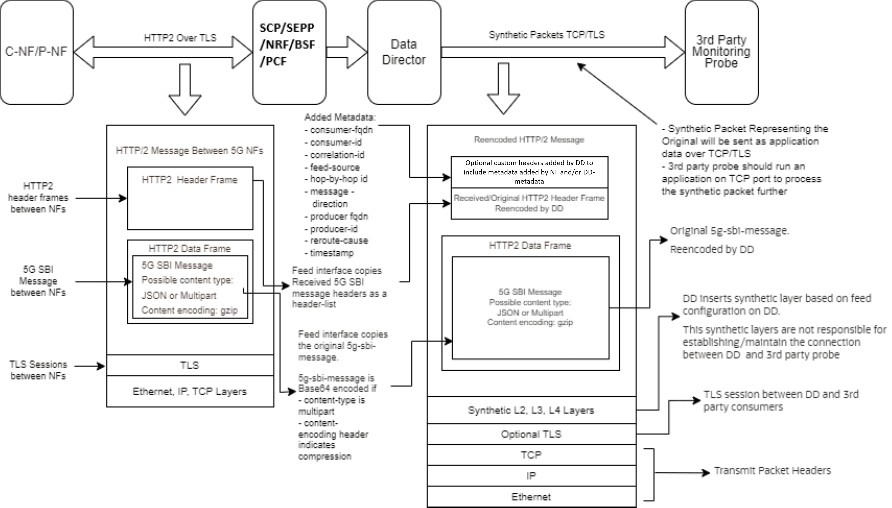 Synthetic Packet Message Format