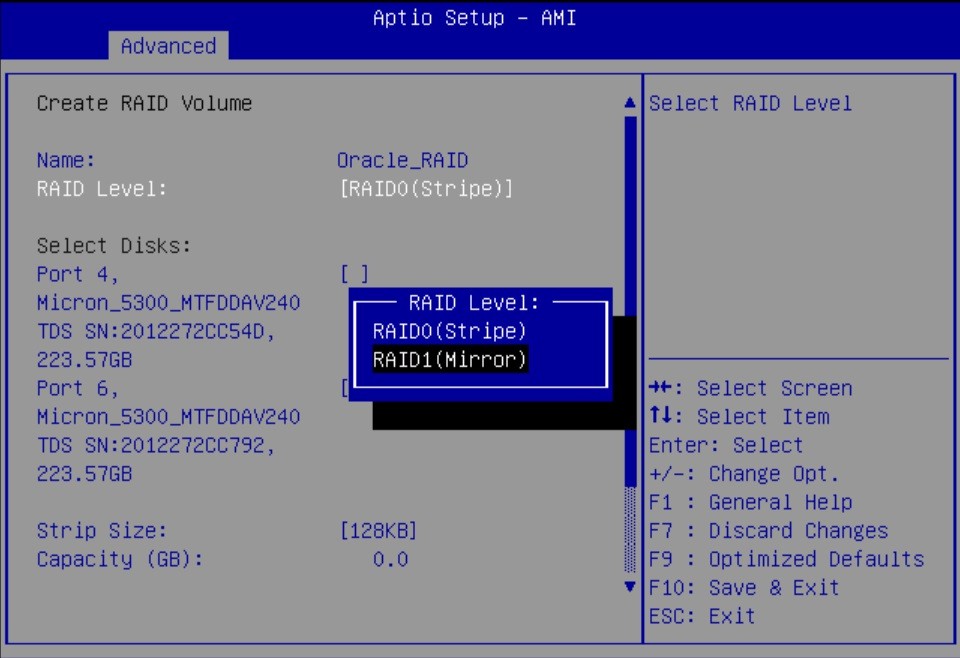 Image showing the RAID1(Mirror) selected.