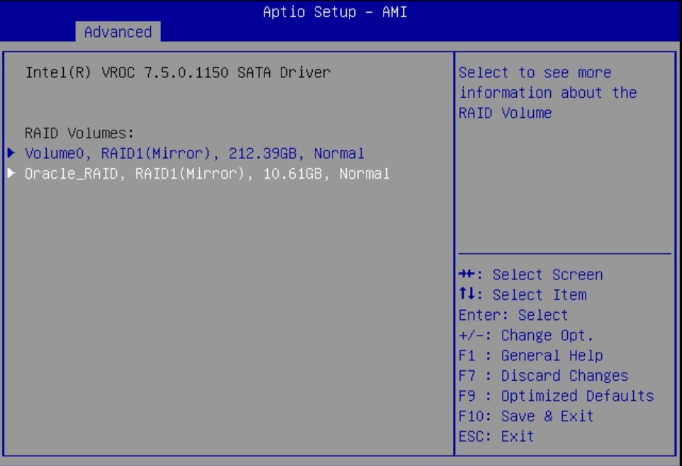 Image of volume appearing under RAID volumes.
