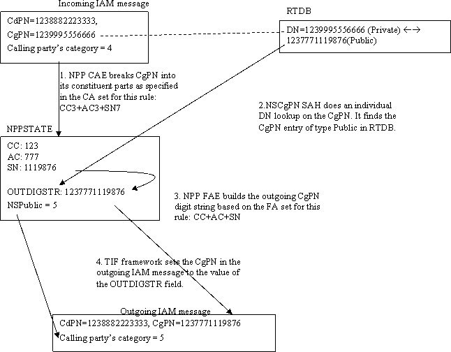 TIF NS Basic Operation for TIF CgPN Service TIF NS Basic Operation for TIF CgPN Service