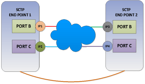 Multi-Homed SCTP Association Multi-Homed SCTP Association