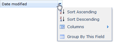This screen capture shows the Group By This Field item.