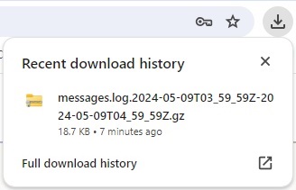 This screen capture shows an example from the Chrome browser with a log file download.
