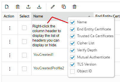 This screen capture shows an example of the menu that displays when you right-click a column header. You can select which items that you want to display or hide.