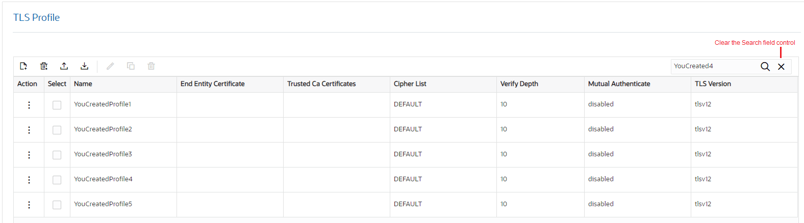 This screen capture shows the X button that the system adds to the search field when you search for a particular configuration.