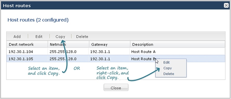 This image is a screen capturre of the host routes configuration dialog showing two copying methods. You can either click the copy buttonon in the dialog header or right-click an item in the list, and click copy from the drop down list.