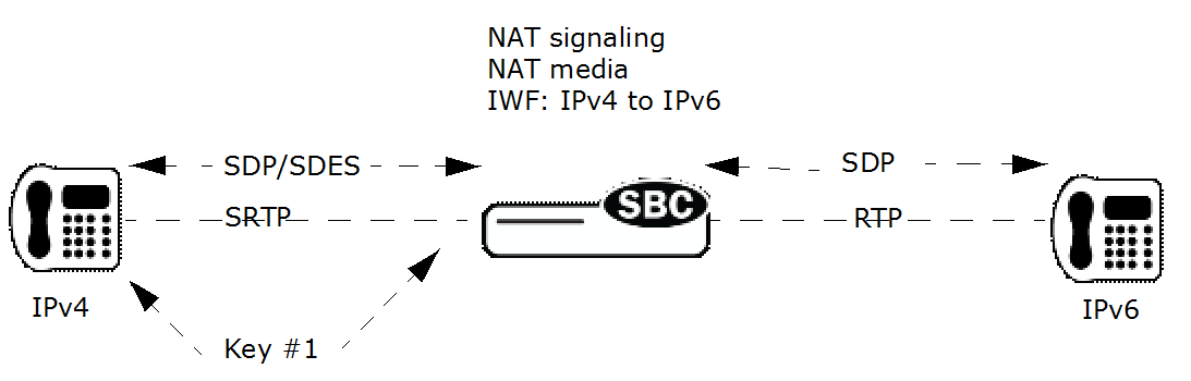 This image shows the SRTP IPv4 endpoints with RTP (unencrypted) IPv6 endpoints.