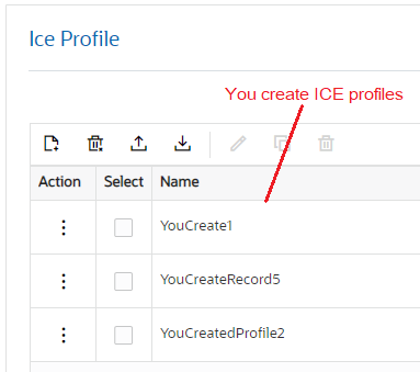 This screen capture shows a user-created list in the Ice Profile. This list will display in the Ice Profile parameter in the Realm Config.