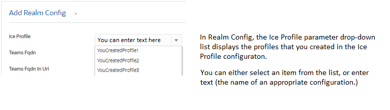 This screen capture shows the list the user created in the Ice Profile configuration as it displays in the Ice Profile parameter in Realm Config.
