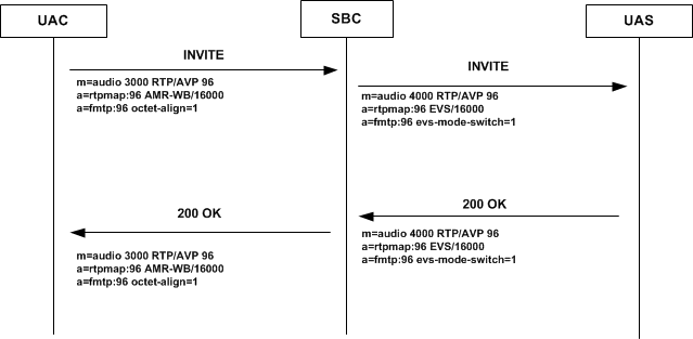 The AMR-WB EVS diagram is described above.