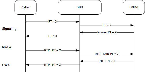 This flow depicts the SBC unable to support the PT signaling. This flow depicts the SBC unable to support the PT signaling.