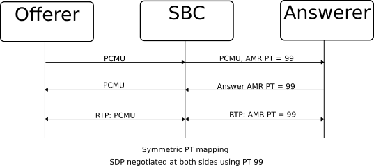 Payload type the same for both media flows Payload type the same for both media flows