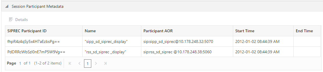 This screenshot shows the Segment Session Participant Metadata page.