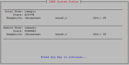 img/t_using_the_lsmsmgr_interface_to_determine_the_server_status_mm-fig1-r13.jpg