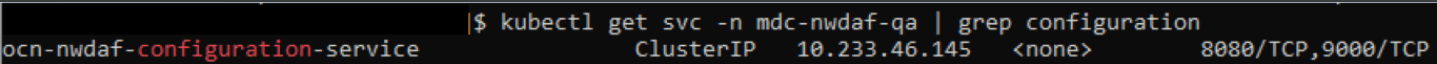 Configuration API Host Service
