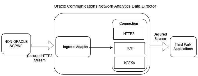Third-party NF Data Processing Through Ingress Adapter