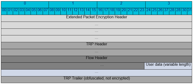 Encrypted Packet with Extended Packet Encryption Header Encrypted Packet with Extended Packet Encryption Header