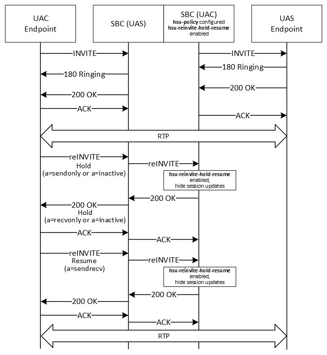 The image shows session updates hidden for hold and resume renegotiations.
